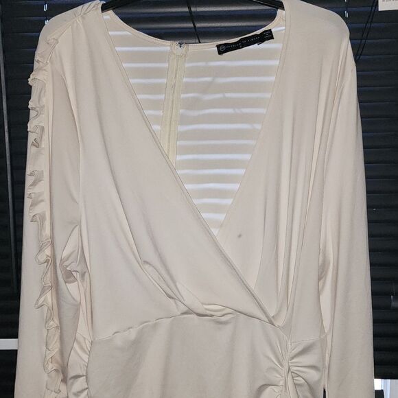 Fashion To Figure Dress - Picture 2 of 6
